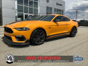 Thumbnail image of 2022 Ford Mustang at Laurel Valley Motors