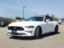 Thumbnail image of 2022 Ford Mustang at Szott I96 Chrysler Dodge Jeep Ram