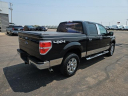Thumbnail image of 2012 Ford F-150 at Osseo Ford