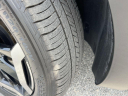 Thumbnail image of 2025 Kia Telluride at Regal Automotive (Kia Chevy)