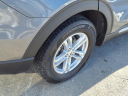 2022 Ford Explorer XLT at Ray Seraphin Ford, Inc.