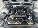 Thumbnail image of 2009 Ford Shelby GT500 at Vision Hyundai Webster