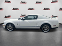 Thumbnail image of 2009 Ford Shelby GT500 at Vision Hyundai Webster