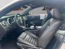 2009 Ford Shelby GT500 Base at Vision Hyundai Webster