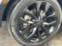 Thumbnail image of 2022 Kia Sorento at Spitzer Kia