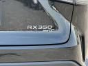 Thumbnail image of 2023 Lexus RX 350 at SuperiorGmcBuick of Fayetteville, AR