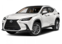 Thumbnail image of 2023 Lexus NX 350h at JenkinsHyundaiOfJacksonville-New of Jacksonville, FL