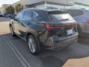 2023 Lexus NX 350h Luxury at JenkinsHyundaiOfJacksonville-New of Jacksonville, FL