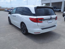 Thumbnail image of 2024 Honda Odyssey at Team Gillman Honda North