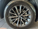 Thumbnail image of 2024 Lexus NX 350 at Lexus Of Lehigh Valley