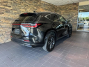 Thumbnail image of 2024 Lexus NX 350 at Lexus Of Lehigh Valley