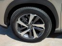 Thumbnail image of 2021 Lexus NX 300 at Lexus Escondido USED