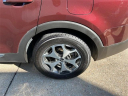 Thumbnail image of 2022 Kia Telluride at Chris Auffenberg Hyundai of Cape Girardeau
