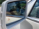 Thumbnail image of 2013 Mercedes-Benz S-Class at Tampa Bay Wholesale Cars, Inc.