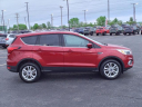 Thumbnail image of 2019 Ford Escape at Serra Buick Gmc Champaign