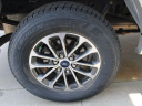 Thumbnail image of 2019 Ford F-150 at Goldstein Chrysler Jeep
