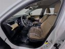 Thumbnail image of 2019 Toyota RAV4 Hybrid at Toyota Scion of Tampa Bay