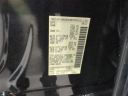 Thumbnail image of 2023 Nissan Titan at Nelson Nissan