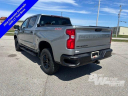 Thumbnail image of 2024 Chevrolet Silverado 1500 at Burt Watson Chevrolet of Freeland