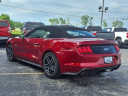 Thumbnail image of 2023 Ford Mustang at Lou Fusz Ford Chesterfield