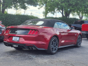 Thumbnail image of 2023 Ford Mustang at Lou Fusz Ford Chesterfield