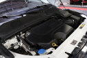 Thumbnail image of 2019 Land Rover Range Rover Evoque at PK MOTORS GROUP