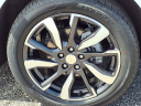Thumbnail image of 2022 Chevrolet Equinox at C. Wimberley Chevrolet Buick Gmc