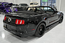 Thumbnail image of 2010 Ford Mustang at Burnyzz Llc.
