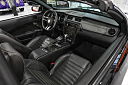 Thumbnail image of 2010 Ford Mustang at Burnyzz Llc.