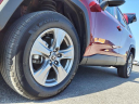 Thumbnail image of 2024 Toyota RAV4 at Blue Ridge Cjdr