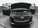 Thumbnail image of 2024 Cadillac Escalade at HEMcgonigalBuickInc-New of Kokomo, IN