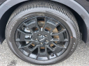 Thumbnail image of 2022 Kia Telluride at Honda Universe