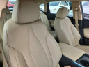 Thumbnail image of 2024 Acura TLX at 3 Ed Martin - New