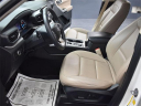 Thumbnail image of 2023 Ford Explorer at South County Dodge, Chrysler, Jeep, Ram