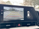 Thumbnail image of 2025 Kia Sportage at JenkinsKiaOfGainesville-New of Gainesville, FL