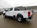 Thumbnail image of 2024 Ford F-350 Super Duty at Wetzel Ford