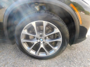 Thumbnail image of 2019 BMW X5 at Applegate Chevrolet