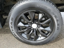 Thumbnail image of 2021 Chevrolet Silverado 1500 at Al Serra Chevrolet