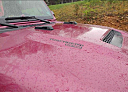 Thumbnail image of 2022 Jeep Wrangler Unlimited at ACE AUTO SALES
