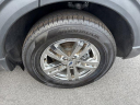 Thumbnail image of 2022 Ford Explorer at JT's Chrysler Jeep Dodge (new)