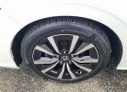 Thumbnail image of 2022 Honda Civic at The New Babylon Honda