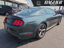 Thumbnail image of 2016 Ford Mustang at Baglier Mazda - New and Used