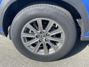 Thumbnail image of 2019 Lexus NX 300 at Empire Toyota of Huntington