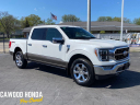 Thumbnail image of 2023 Ford F-150 at Cawood Honda