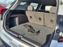 2022 GMC Terrain SLE at Stadium Gm Superstore