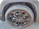Thumbnail image of 2022 GMC Terrain at Stadium Gm Superstore