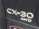 Thumbnail image of 2024 Mazda CX-30 at Serra Honda Brighton