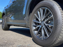 Thumbnail image of 2024 Lexus NX 350 at Lexus of Smithtown