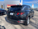 Thumbnail image of 2024 Hyundai TUCSON at McCarthy Hyundai NEW