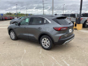Thumbnail image of 2024 Ford Escape at Max Ford